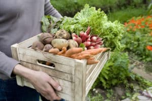 Person carrying crate of vegetables