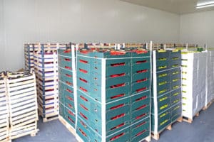 Peppers and Vegetables In Boxes, In Distribution Warehouse