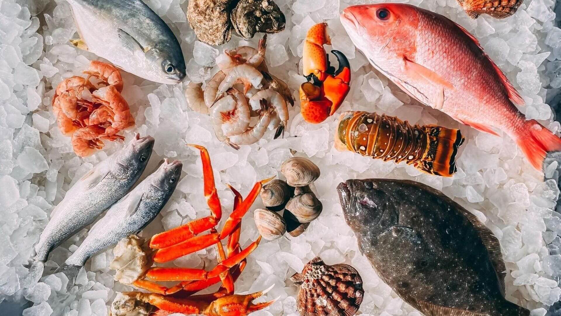 seafood-transport-summer-tips