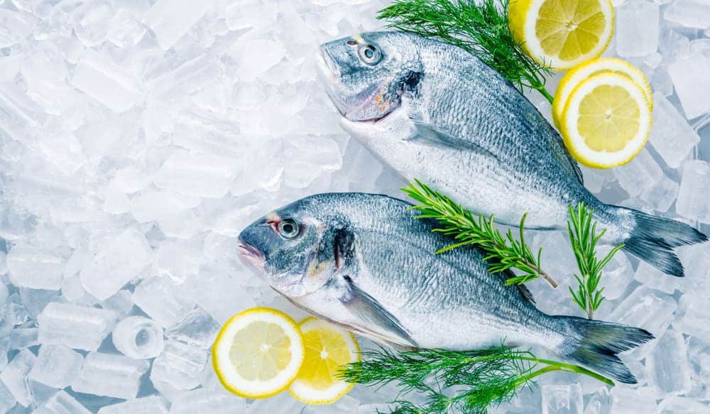 seafood-van-hire